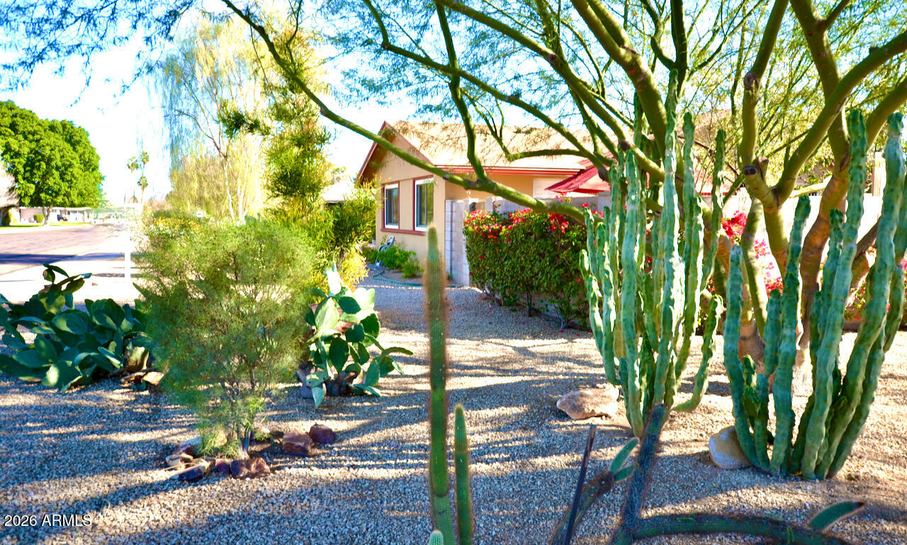 1215 West Colter Street Phoenix, AZ 85013 - Photo 38 of 42 Front Yard