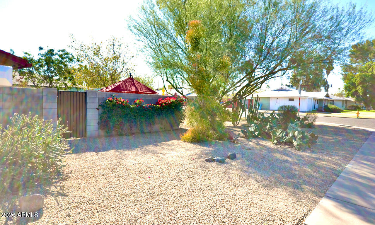 1215 West Colter Street Phoenix, AZ 85013 - Photo 39 of 41 a backyard of a house with lots of green space and fountain