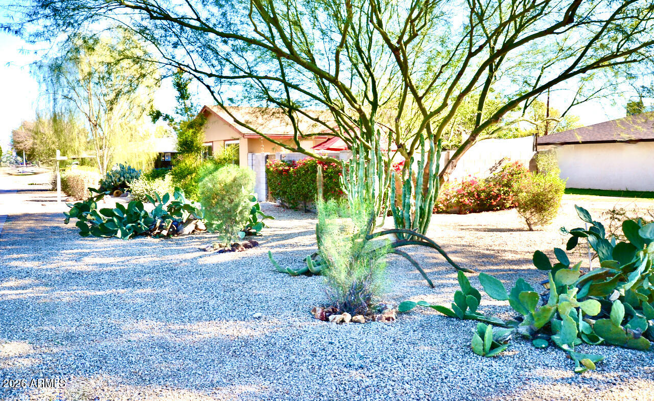 1215 West Colter Street Phoenix, AZ 85013 - Photo 7 of 41 a view of a garden with a tree