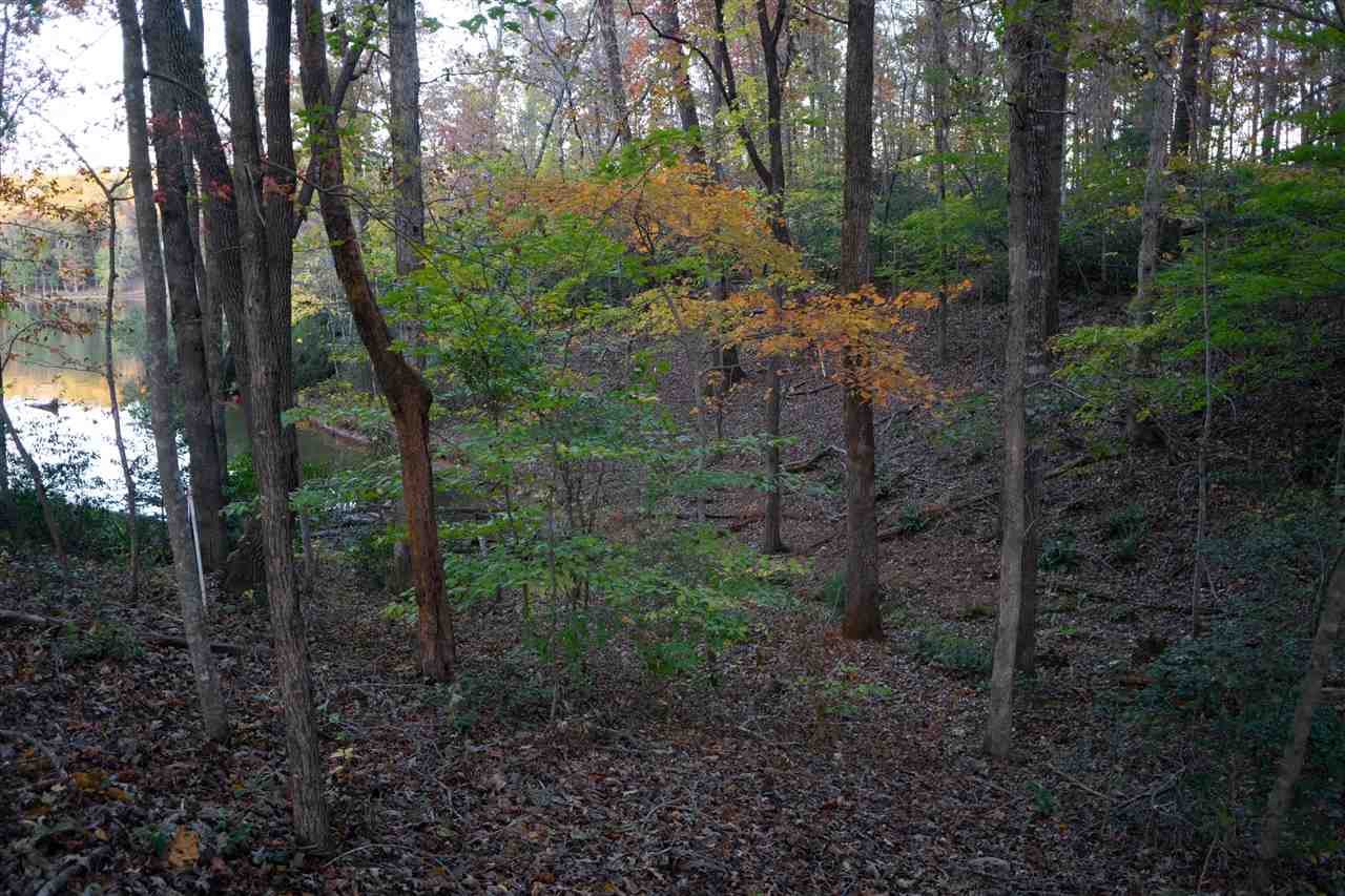 130 Quitman Point Chesnee, SC 29323 - Photo 2 of 4 Gallery Image 2