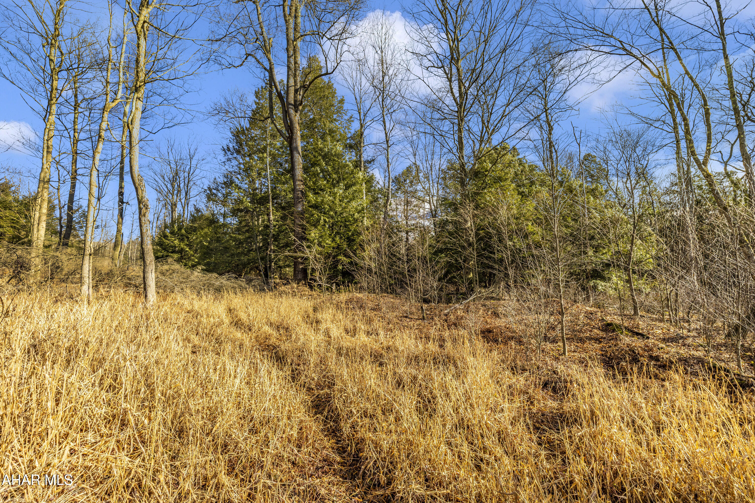 0 Lot 6 Mountain Road Road Lilly, PA 15938 - Photo 19 of 33