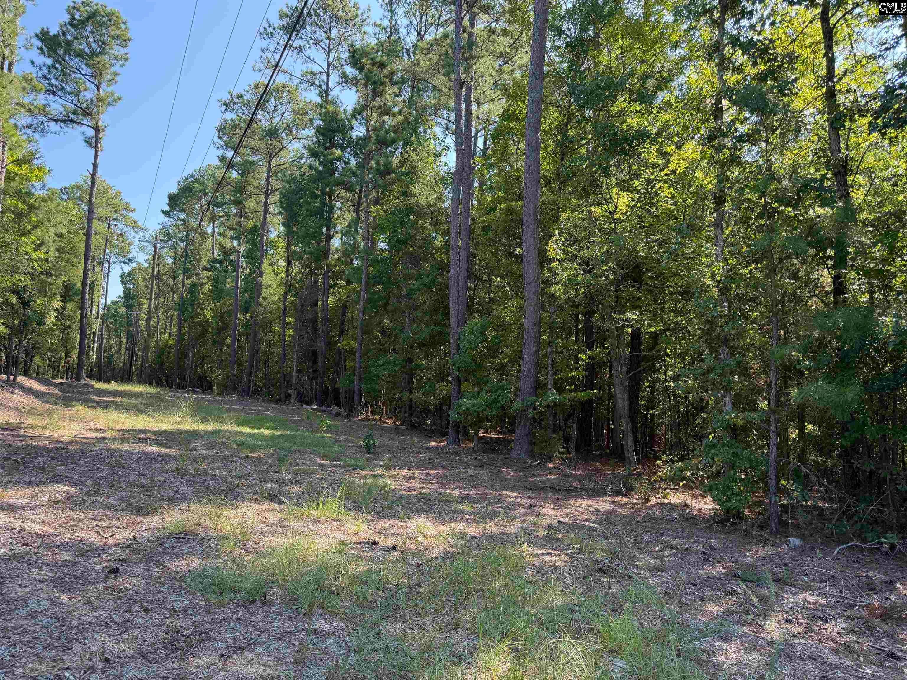 427 Murray Lindler Road Chapin, SC 29036 - Photo 4 of 5 Gallery Image 4