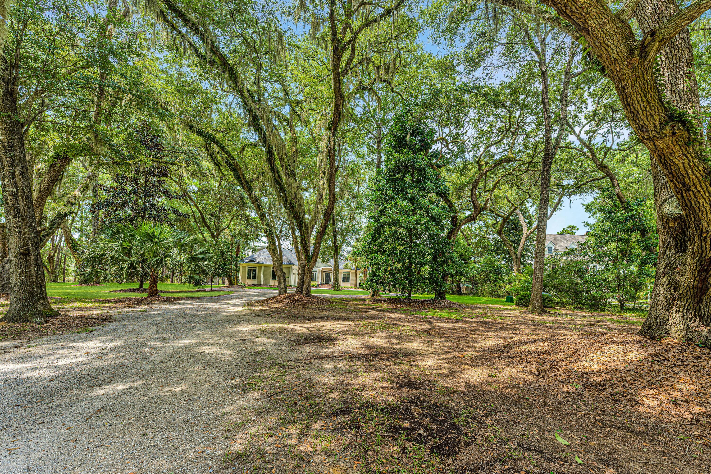 8464 Chisolm Plantation Road Edisto Island, SC 29438 - Photo 3 of 58 8464ChisolmPlantationRd03