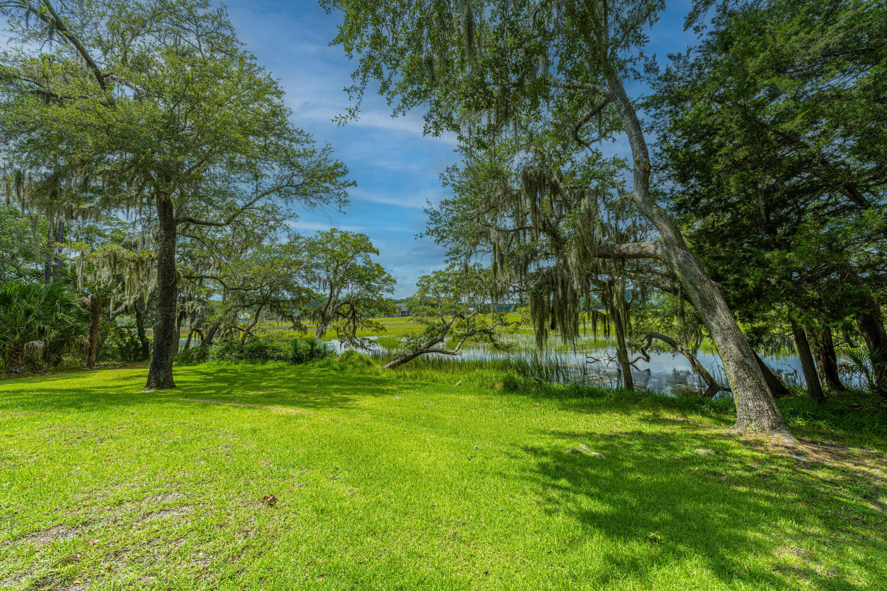 8464 Chisolm Plantation Road Edisto Island, SC 29438 - Photo 44 of 58 8464ChisolmPlantationRd44