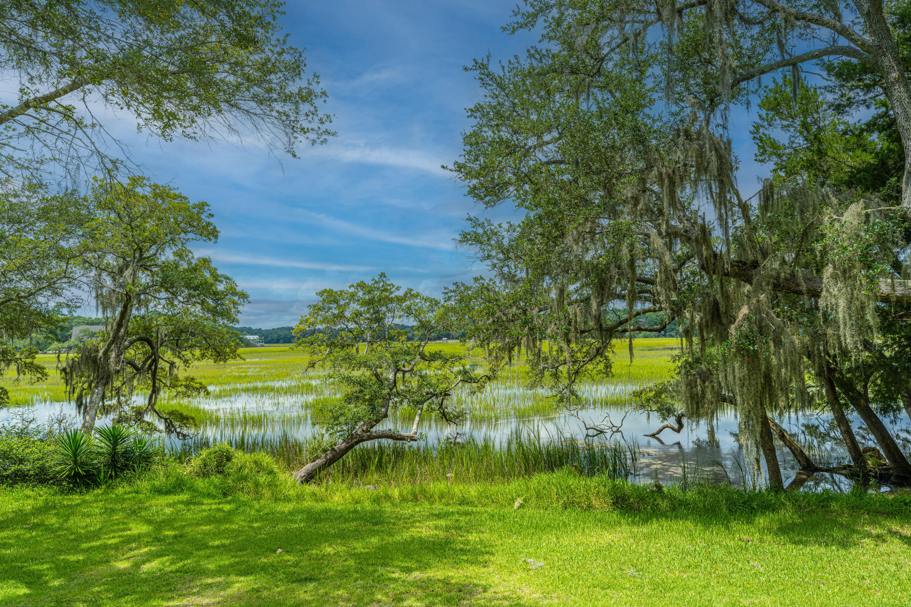 8464 Chisolm Plantation Road Edisto Island, SC 29438 - Photo 47 of 58 8464ChisolmPlantationRd47