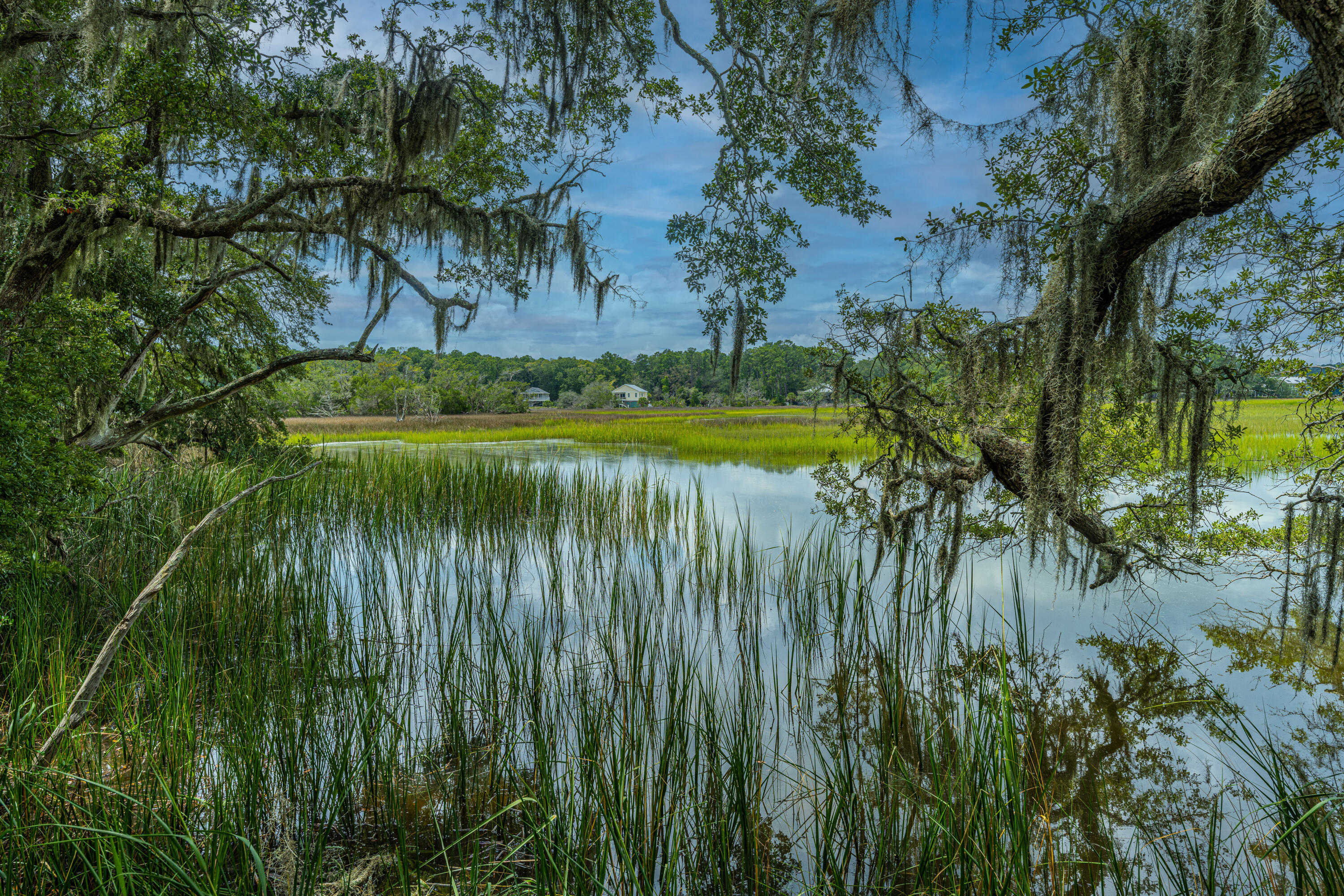 8464 Chisolm Plantation Road Edisto Island, SC 29438 - Photo 52 of 58 8464ChisolmPlantationRd52