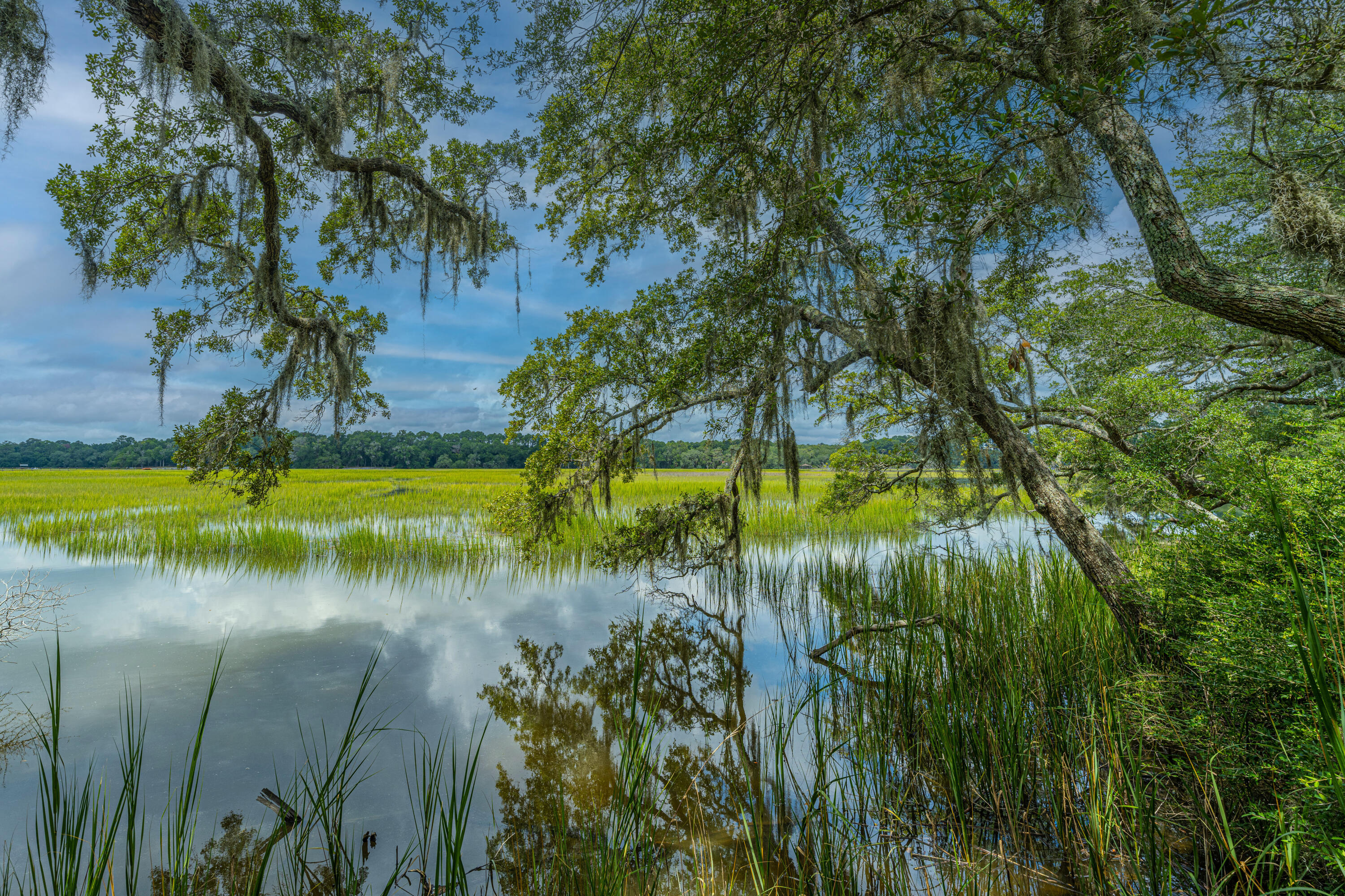 8464 Chisolm Plantation Road Edisto Island, SC 29438 - Photo 54 of 58 8464ChisolmPlantationRd54