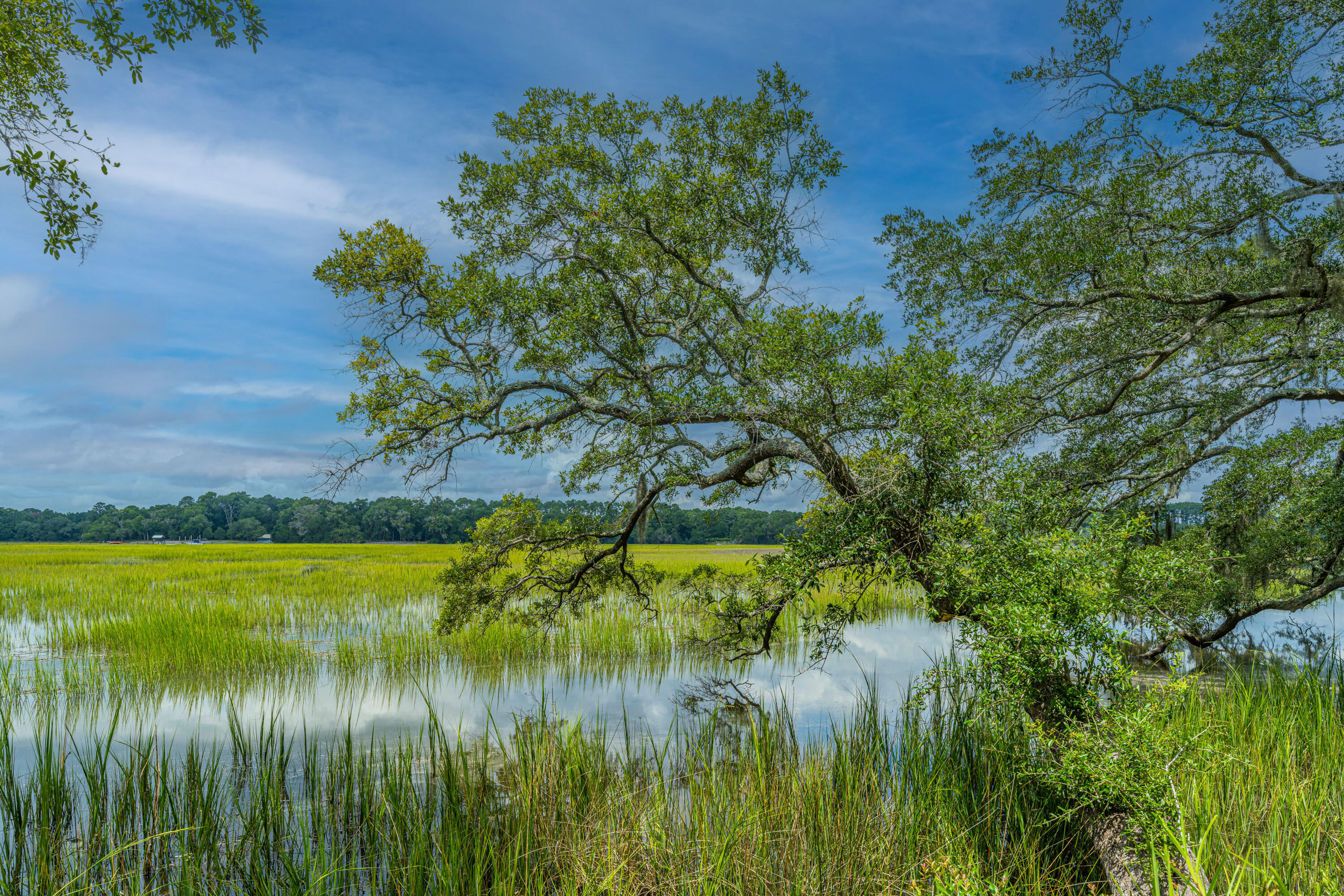 8464 Chisolm Plantation Road Edisto Island, SC 29438 - Photo 55 of 58 8464ChisolmPlantationRd55