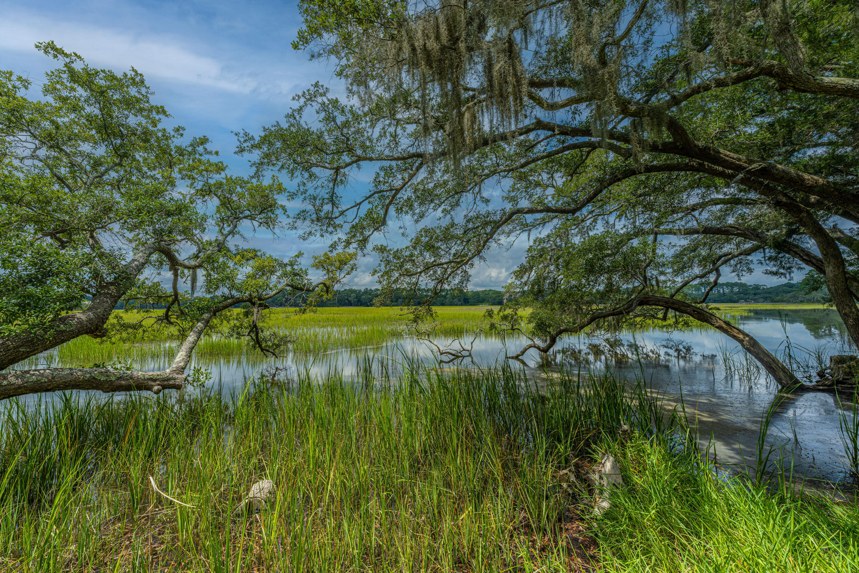 8464 Chisolm Plantation Road Edisto Island, SC 29438 - Photo 56 of 58 8464ChisolmPlantationRd56