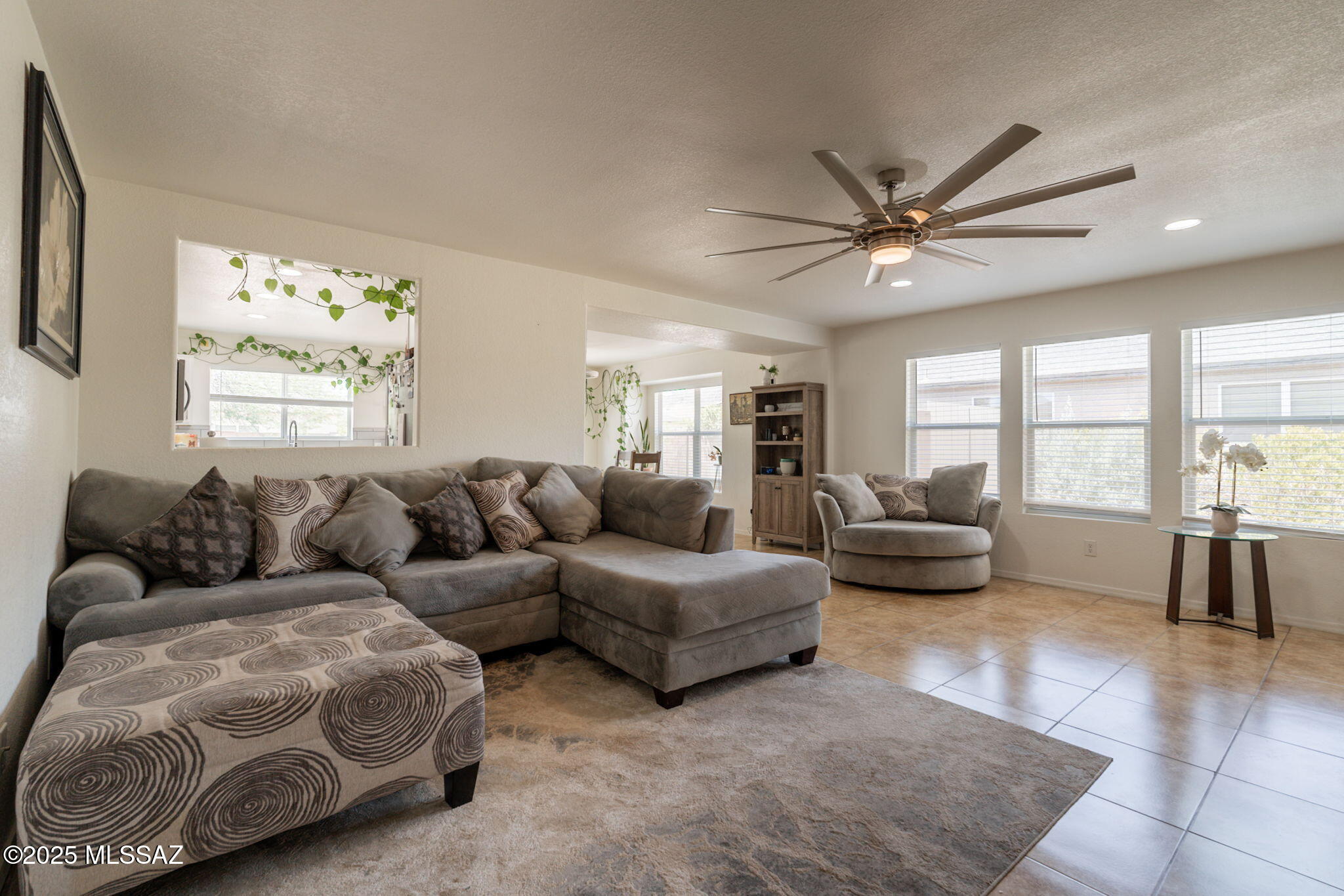 3418 South Desert Echo Road Tucson, AZ 85735 - Photo 6 of 29