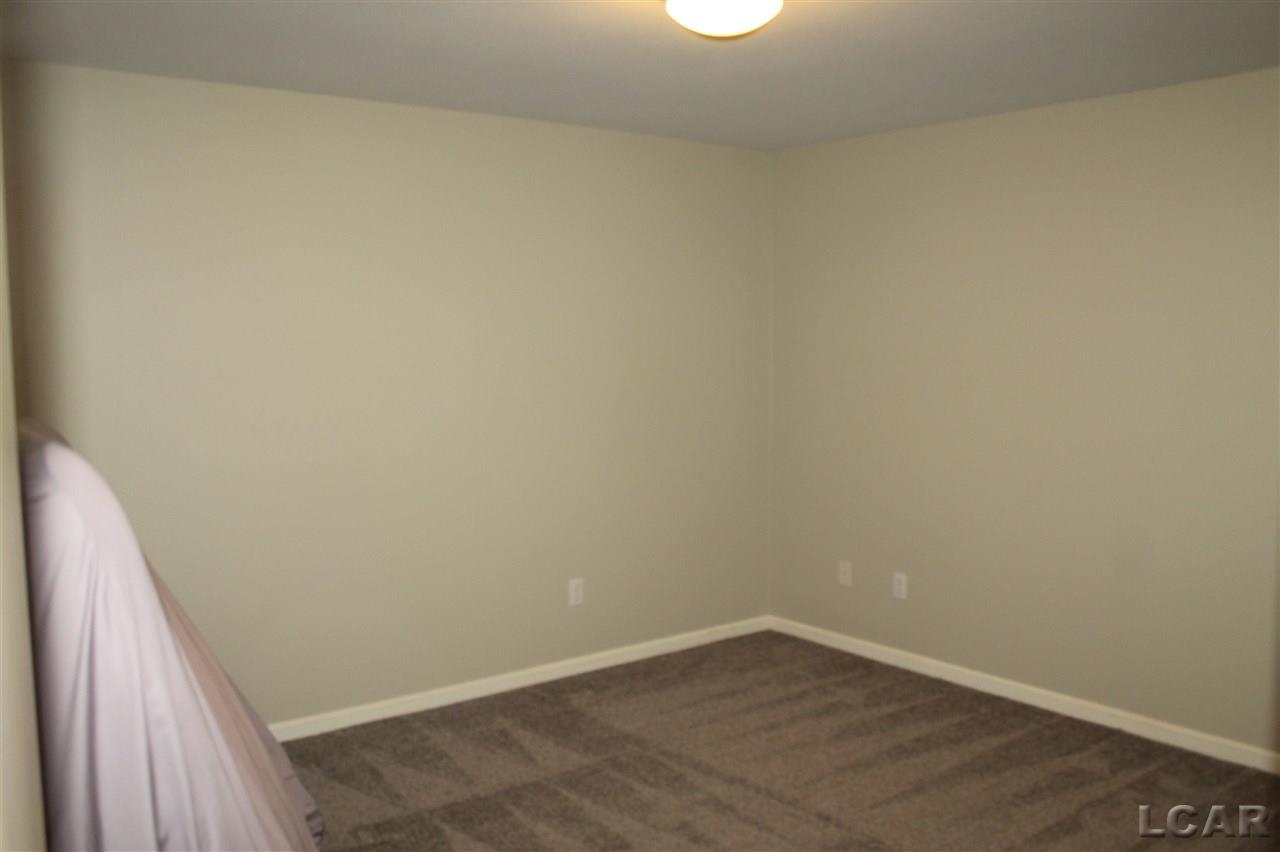 3049 Beaver Creek Ridge Adrian, MI 49221 - Photo 19 of 24 Basement bonus room