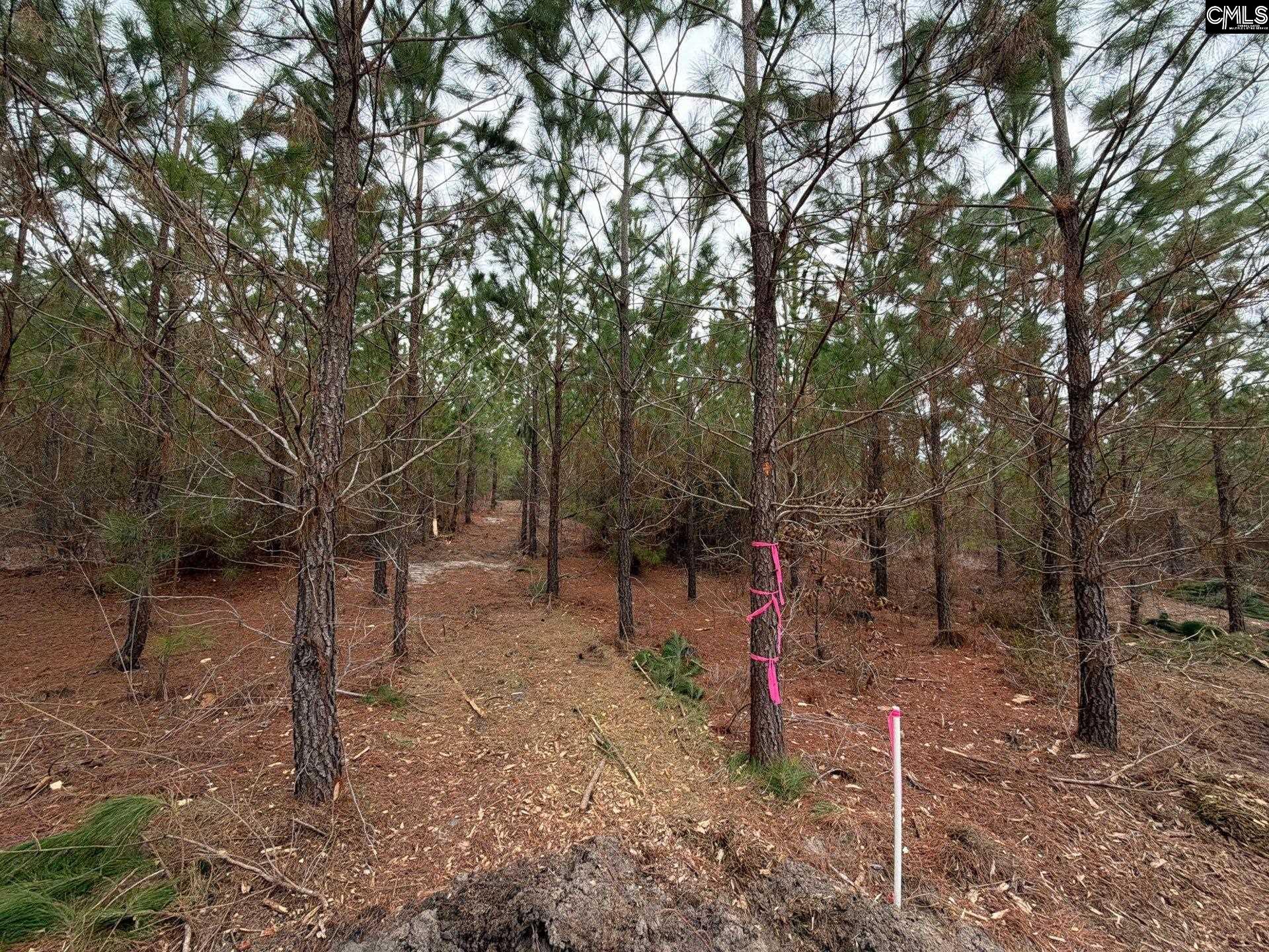 4 Jc Barefoot Road, Unit BFF II 4 Patrick, SC 29584 - Photo 1 of 32