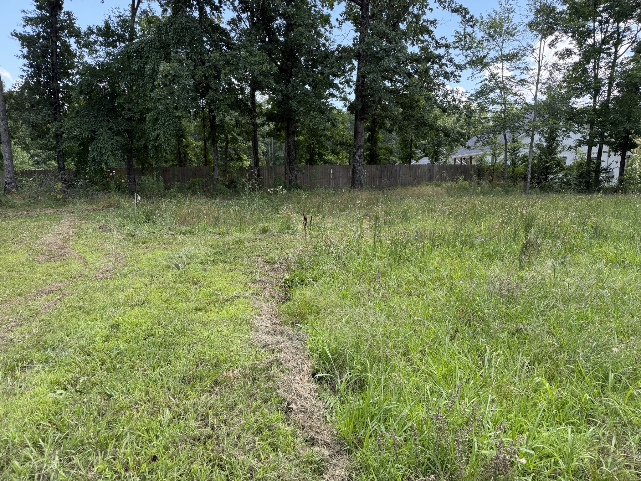 308 Mount View Road Hohenwald, TN 38462 - Photo 14 of 40