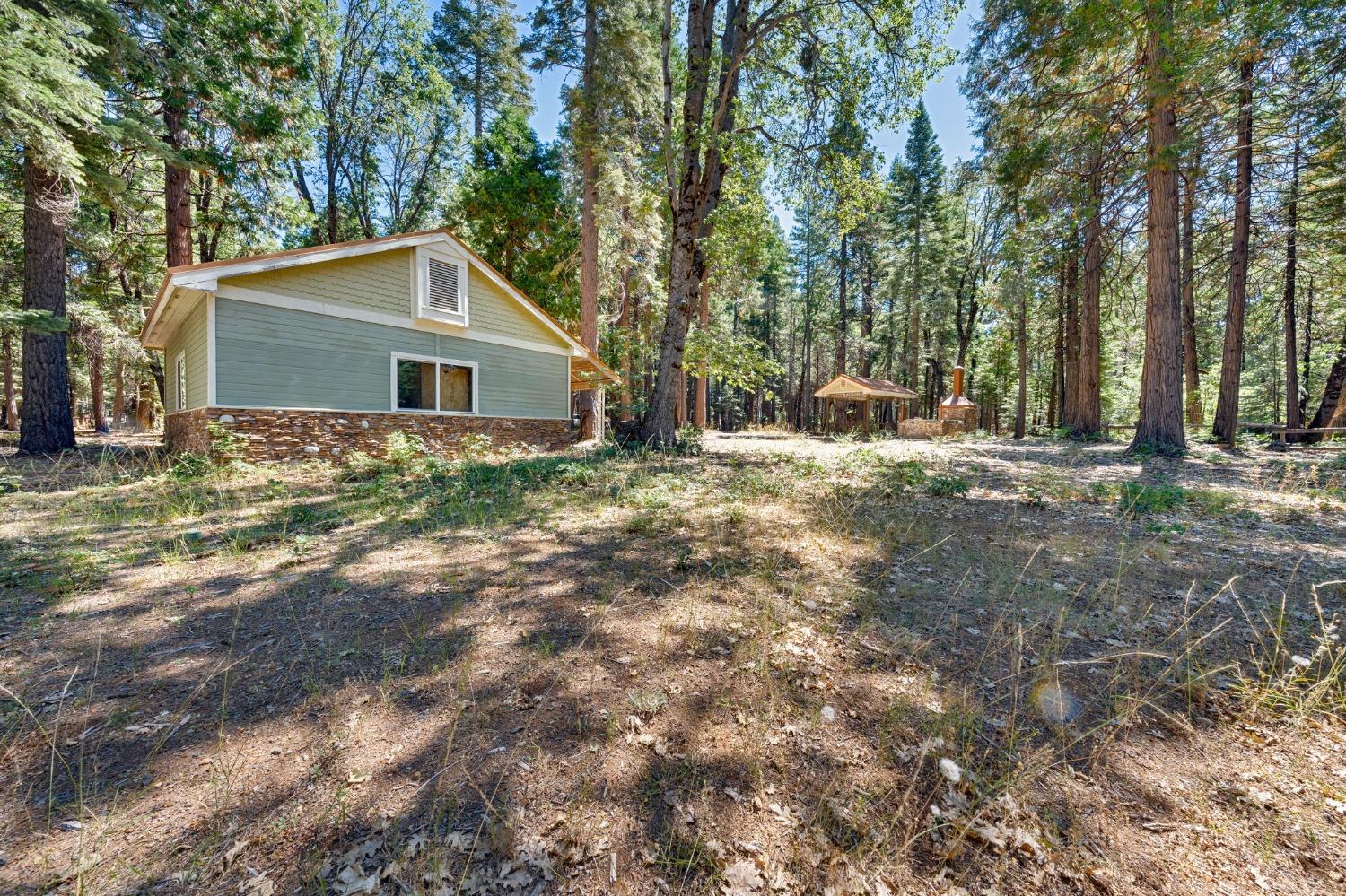 740 Hideaway Loop Alta, CA 95701 - Photo 51 of 74 a view of a house with a yard