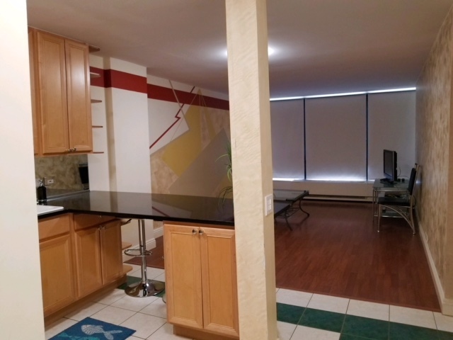 5415 North Sheridan Road, Unit 3608 Chicago, IL 60640 - Photo 7 of 23