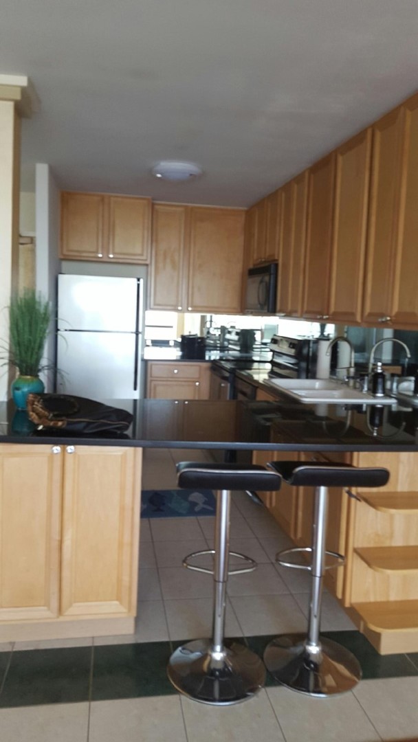 5415 North Sheridan Road, Unit 3608 Chicago, IL 60640 - Photo 10 of 23