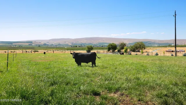 a view of a lake with a yard