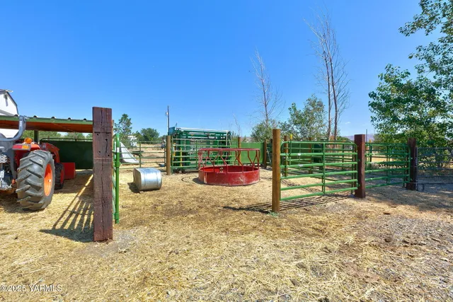 a view of a park with large trees