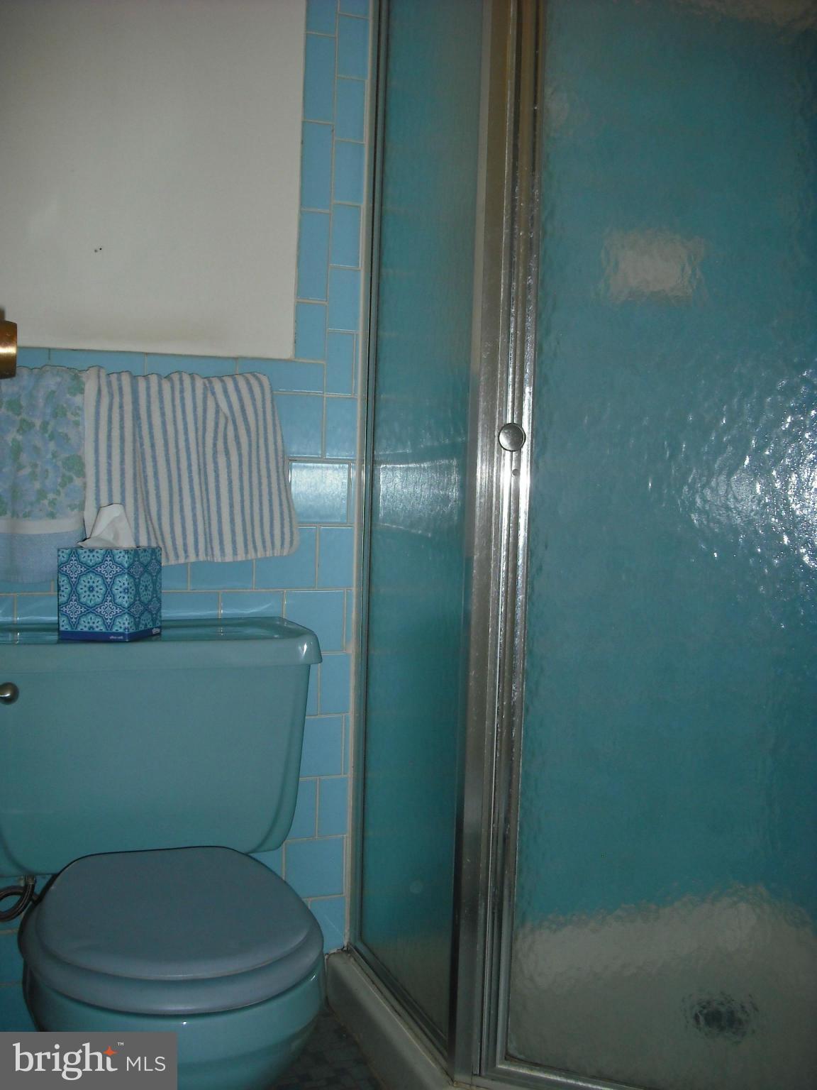 3850 Bel Pre Road, Unit 2166 Silver Spring, MD 20906 - Photo 21 of 24 Bath (Master)