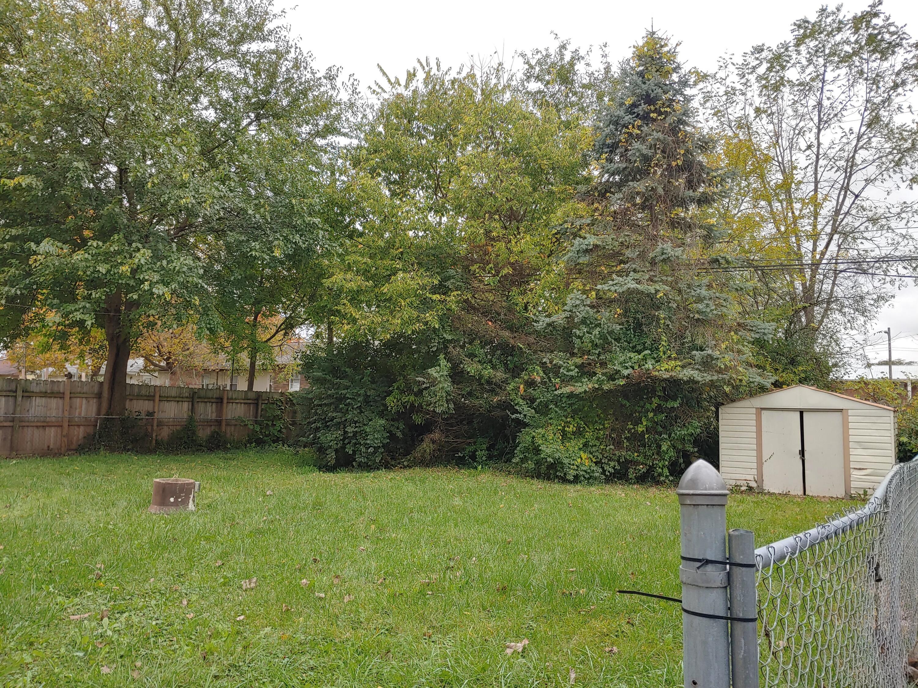 859 Brixham Road Columbus, OH 43204 - Photo 10 of 11 Back Yard