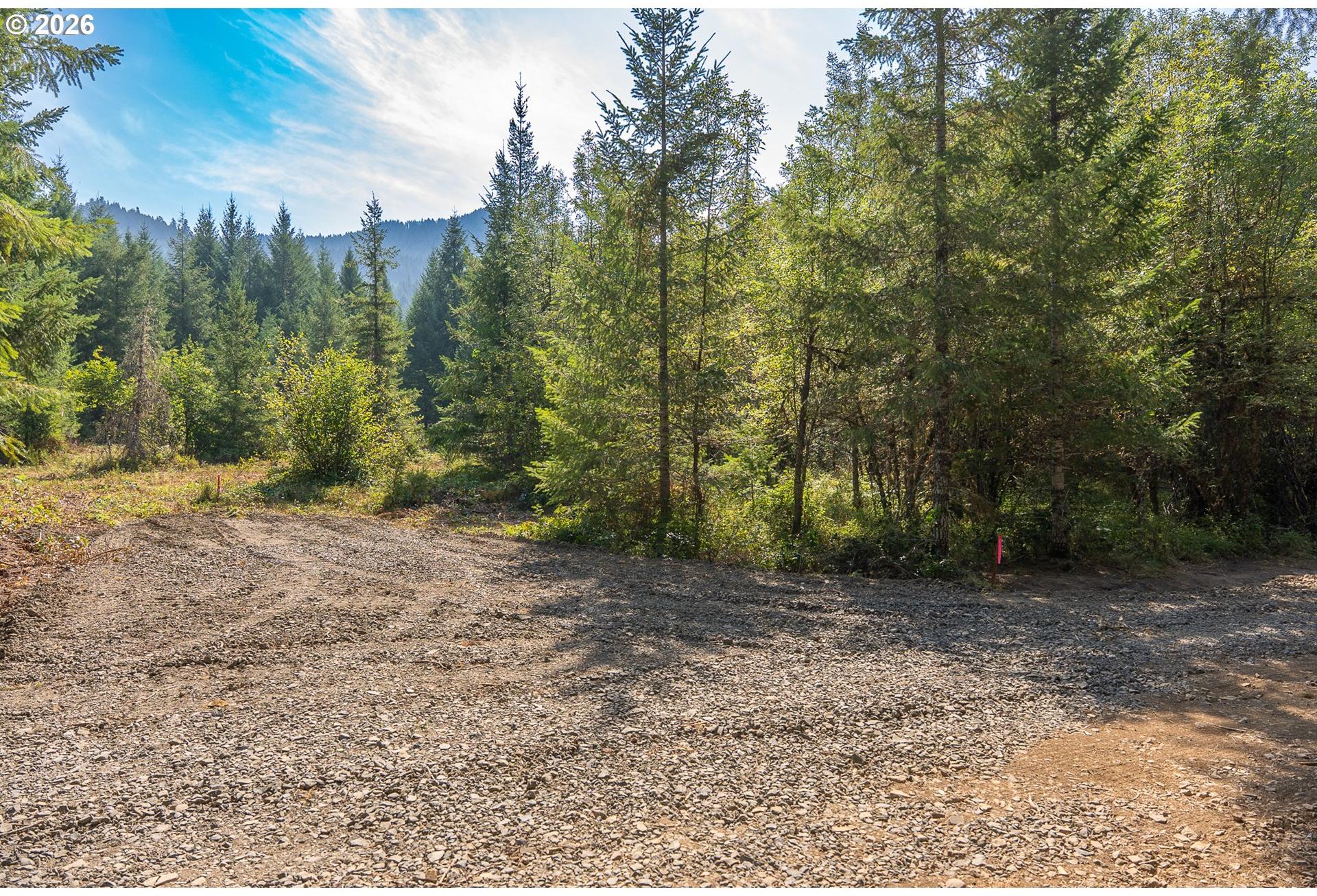 Hawk Meadows Road, Unit 4 Carson, WA 98610 - Photo 3 of 46 Gallery Image 3