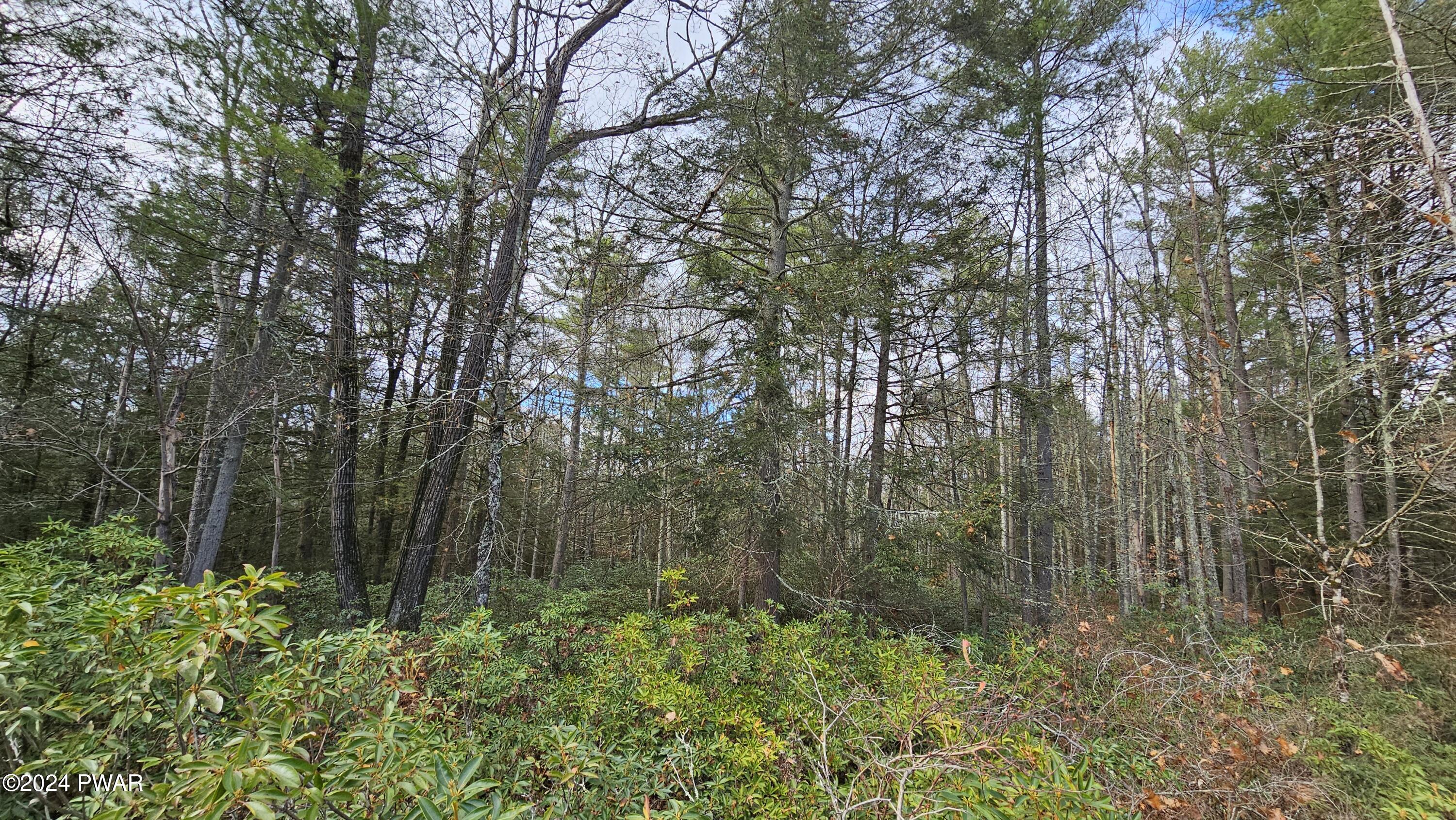 Lot 59 Perry Pond Road Narrowsburg, NY 12764 - Photo 12 of 14 20241111_141031