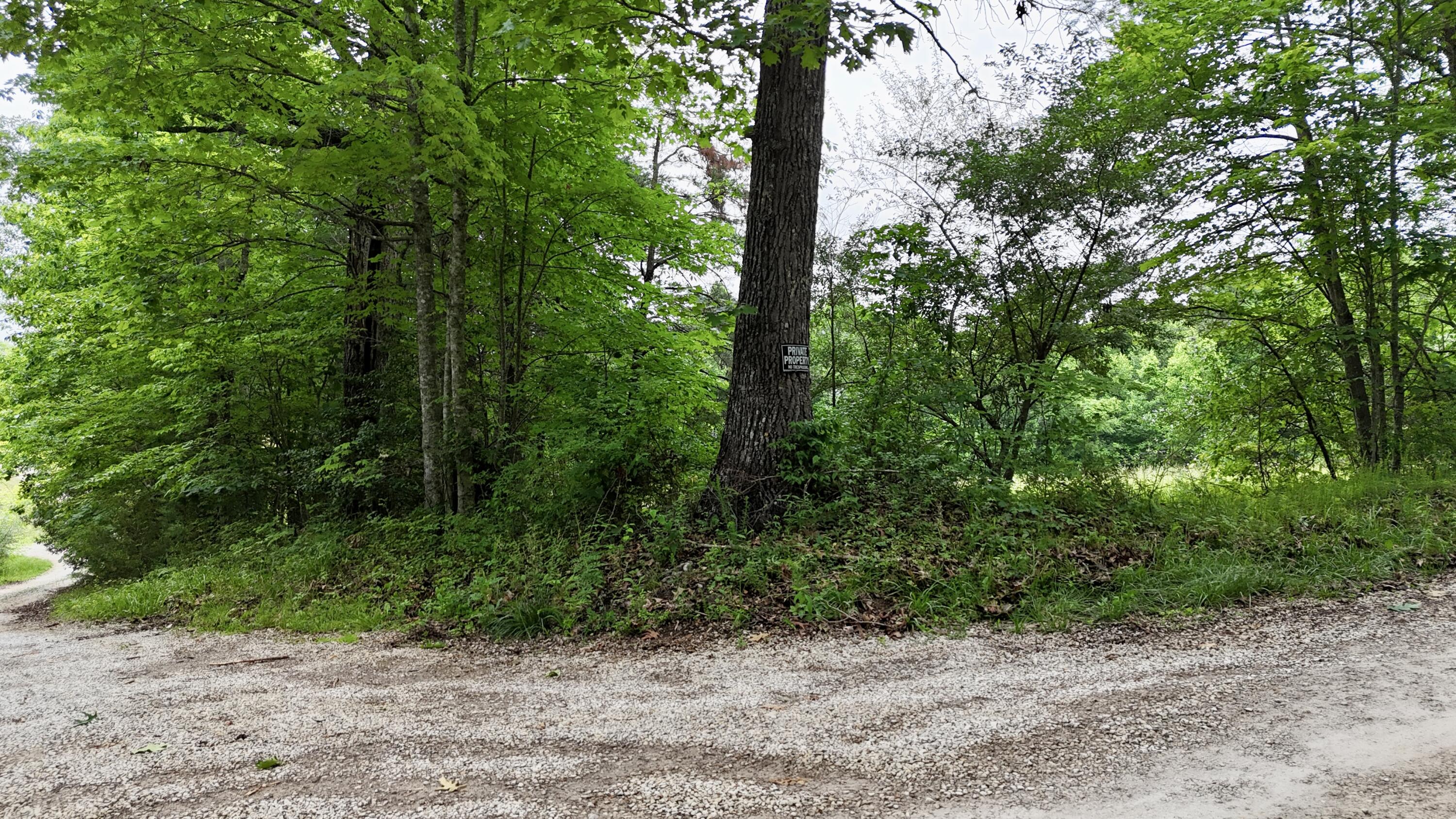 9999 Auger Springs Road Corbin, KY 40701 - Photo 12 of 13 12