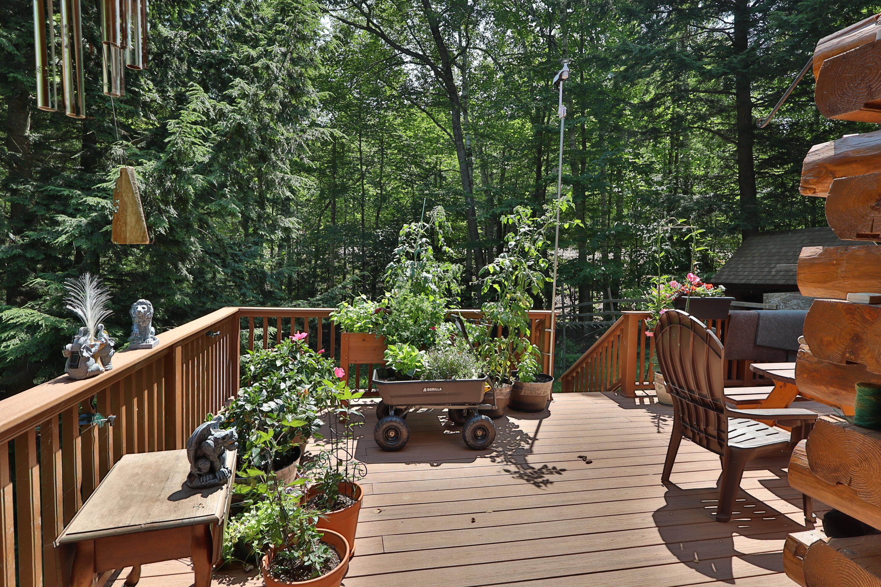 567 Big Moose Point Road Greenville Junction, ME 04442 - Photo 49 of 57 IMG_1415