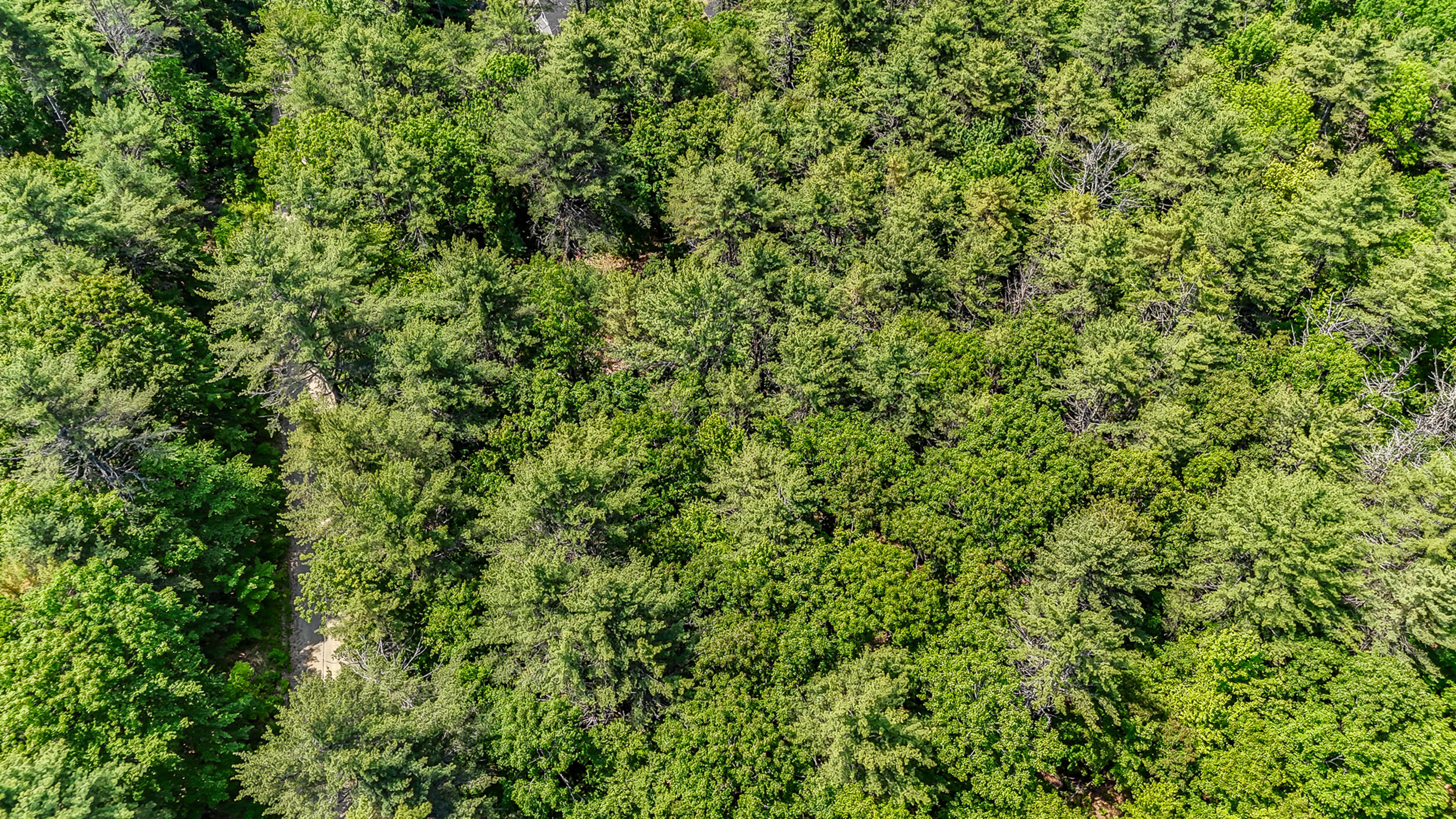 12_dji_20250605112434_0046_d1