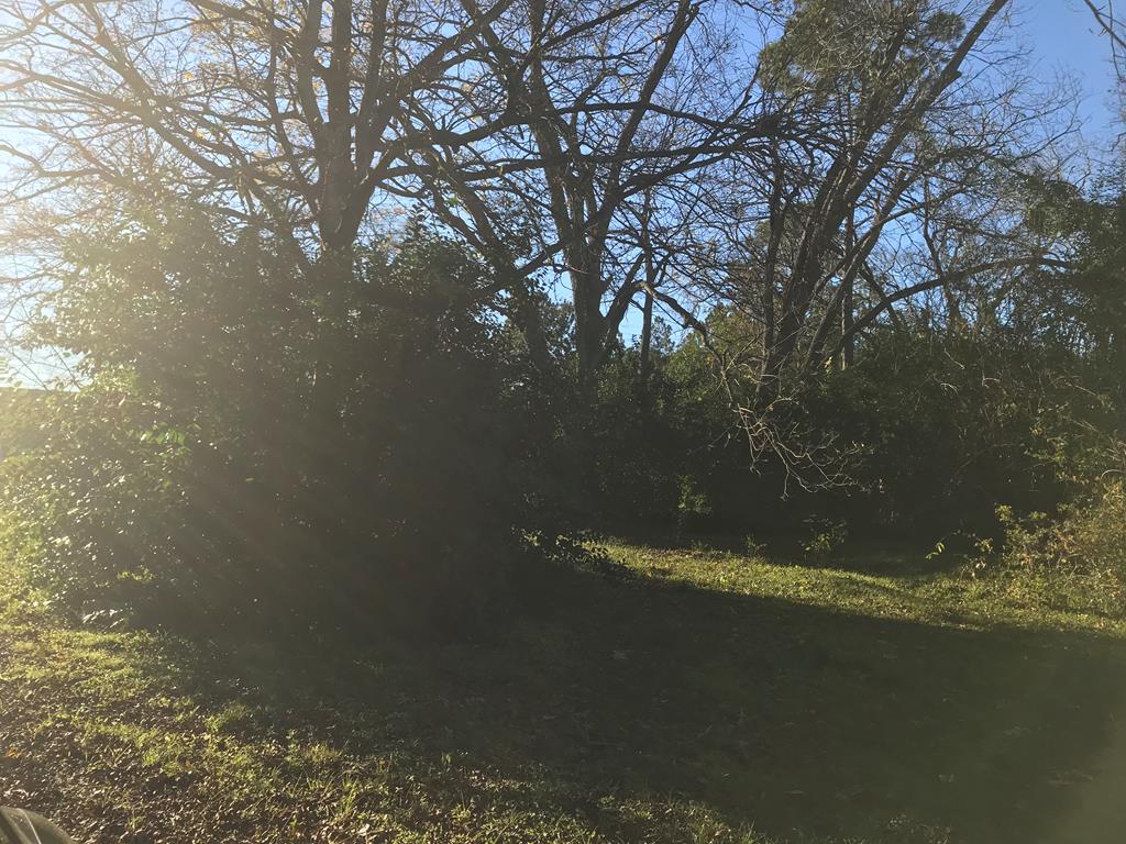 305 Atlanta Street Dothan, AL 36303 - Photo 1 of 1