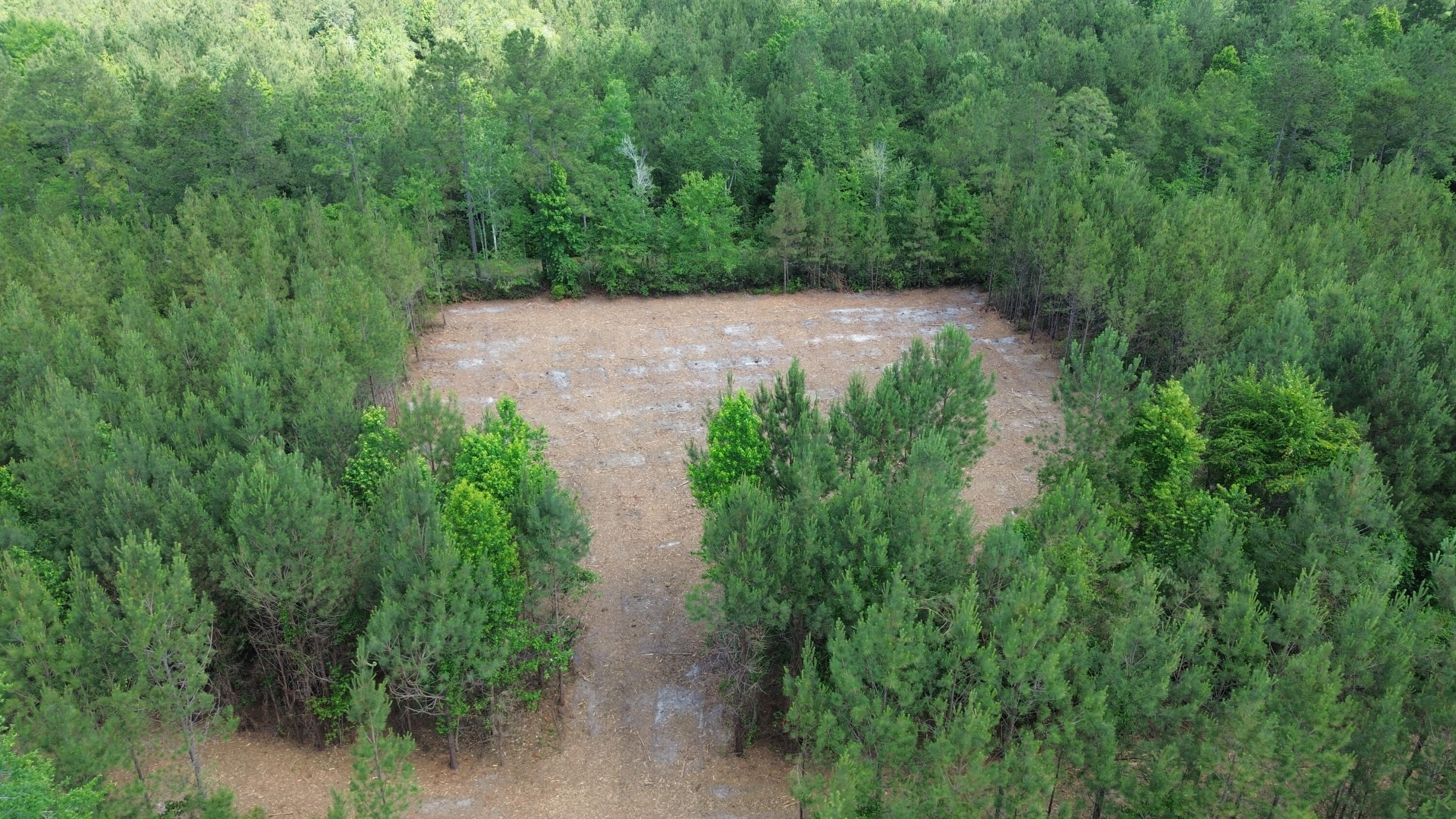 2 Highway 311 Cross, SC 29436 - Photo 10 of 12 DJI_0390