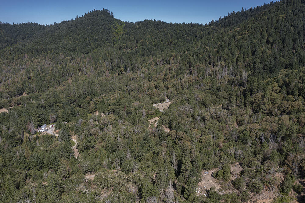780 Hitching Post Road Grants Pass, OR 97526 - Photo 1 of 21 a view of a forest with a mountain in the background