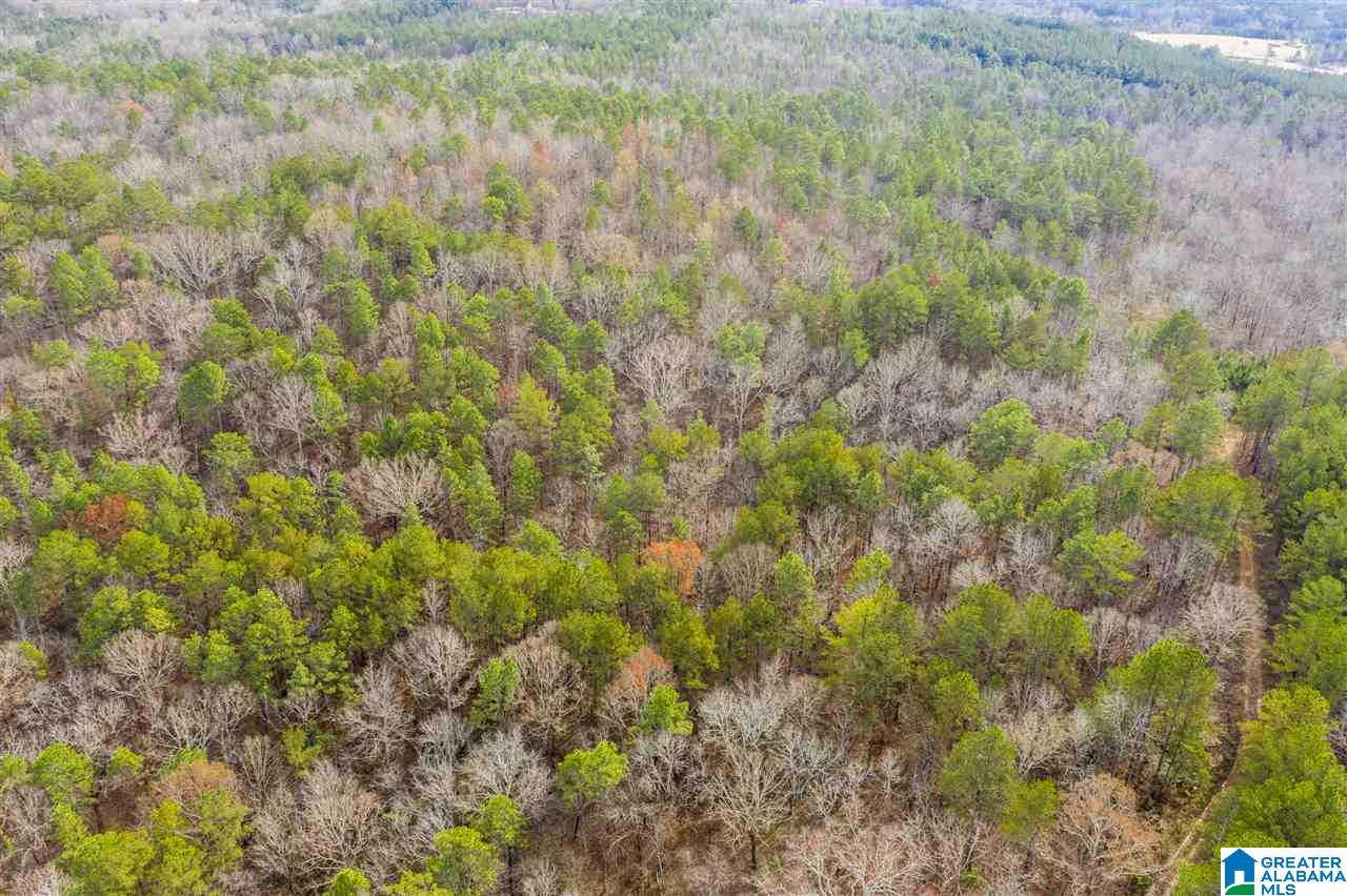 0 Constellation Avenue, Unit 1 Alpine, AL 35014 - Photo 25 of 34