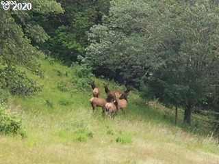 833 Becker Road Roseburg, OR 97471 - Photo 24 of 25