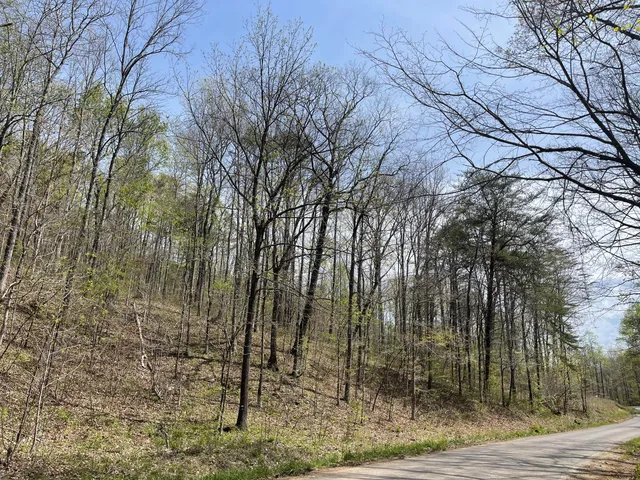 $44,700 | 1 Brock Hollow Road, Pikeville, TN 37367