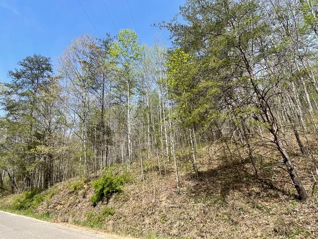 $44,700 | 1 Brock Hollow Road, Pikeville, TN 37367