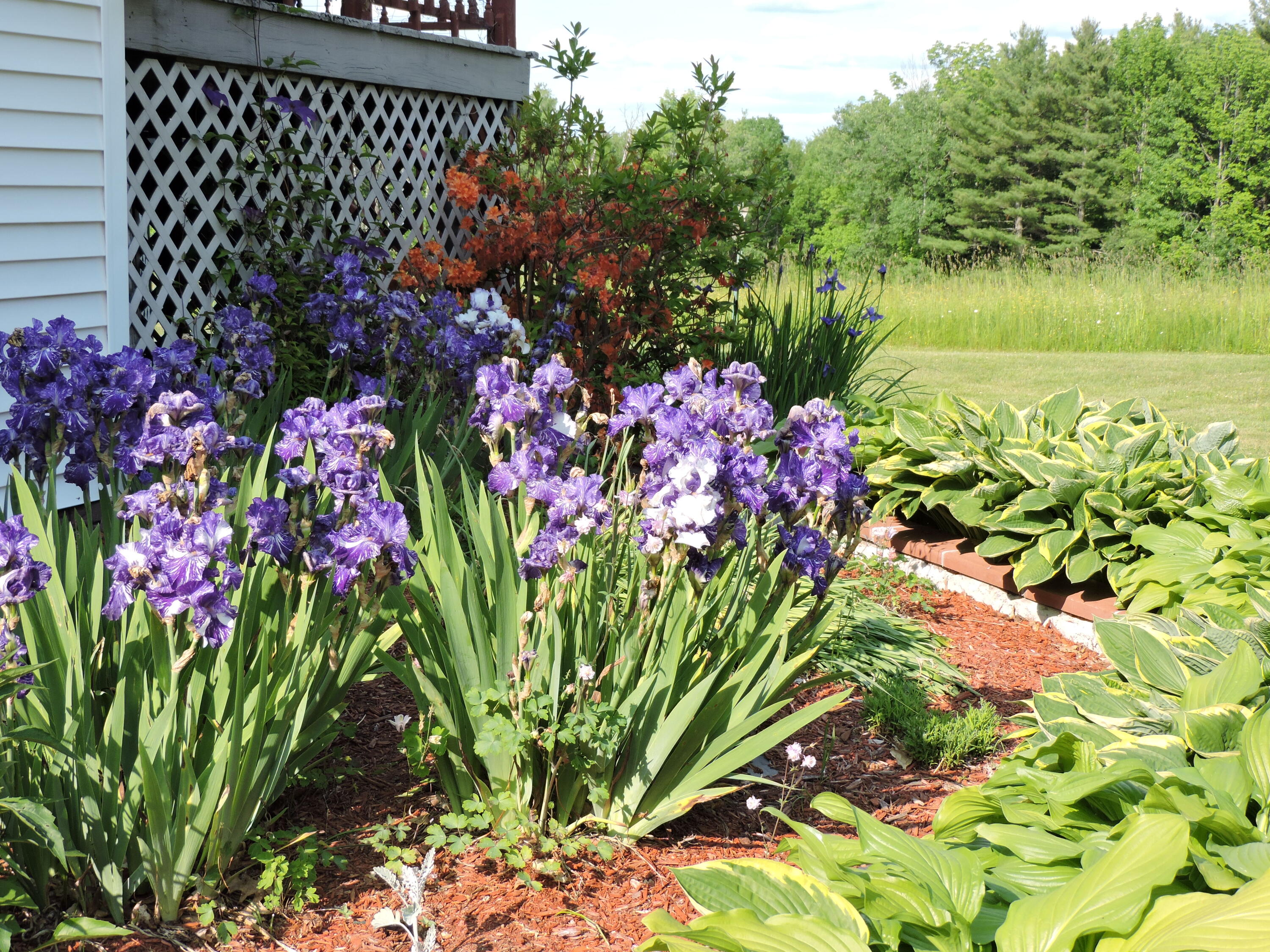 389 Oxbow Road Cornville, ME 04976 - Photo 31 of 51 DSCN5353