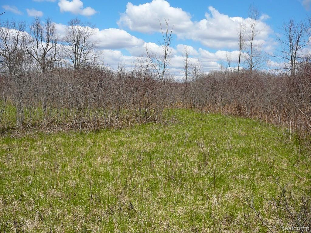 0 Brimley Road West Webberville, MI 48892 - Photo 28 of 36 2015-04-26 12.13