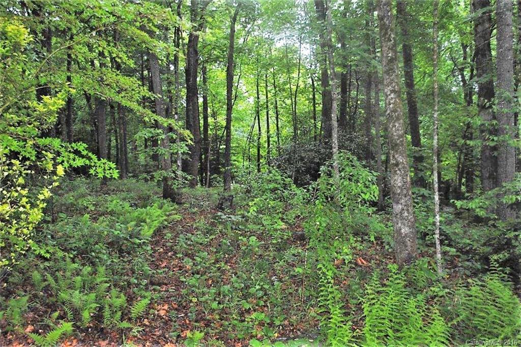 108 Robin Road Brevard, NC 28712 - Photo 18 of 19 Gallery Image 18