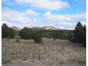 95 Rambling Prescott, AZ 86305 - Photo 11 of 13 a view of a dry yard with trees