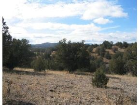 95 Rambling Prescott, AZ 86305 - Photo 12 of 13 a view of a yard