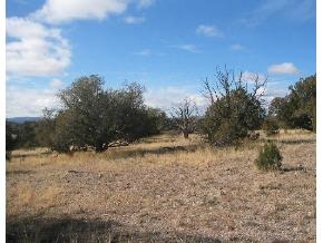 95 Rambling Prescott, AZ 86305 - Photo 2 of 13 a view of a dry yard with trees