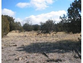 95 Rambling Prescott, AZ 86305 - Photo 4 of 13