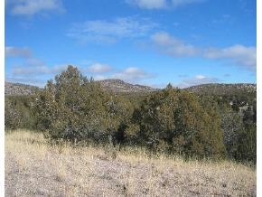 95 Rambling Prescott, AZ 86305 - Photo 5 of 13 a view of a lake with a mountain in the background