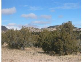 95 Rambling Prescott, AZ 86305 - Photo 6 of 13 a view of a yard