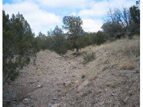 95 Rambling Prescott, AZ 86305 - Photo 10 of 13 a view of a dry yard with trees in the background