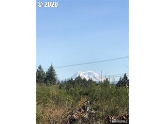 311 Coma Road Winlock, WA 98596 - Photo 1 of 5 Gallery Image 1
