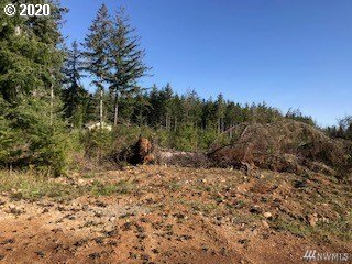 311 Coma Road Winlock, WA 98596 - Photo 2 of 5 Gallery Image 2