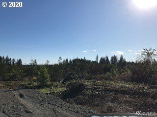 311 Coma Road Winlock, WA 98596 - Photo 3 of 5 Gallery Image 3