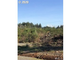 311 Coma Road Winlock, WA 98596 - Photo 4 of 5 Gallery Image 4